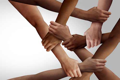 partnersCollaborators